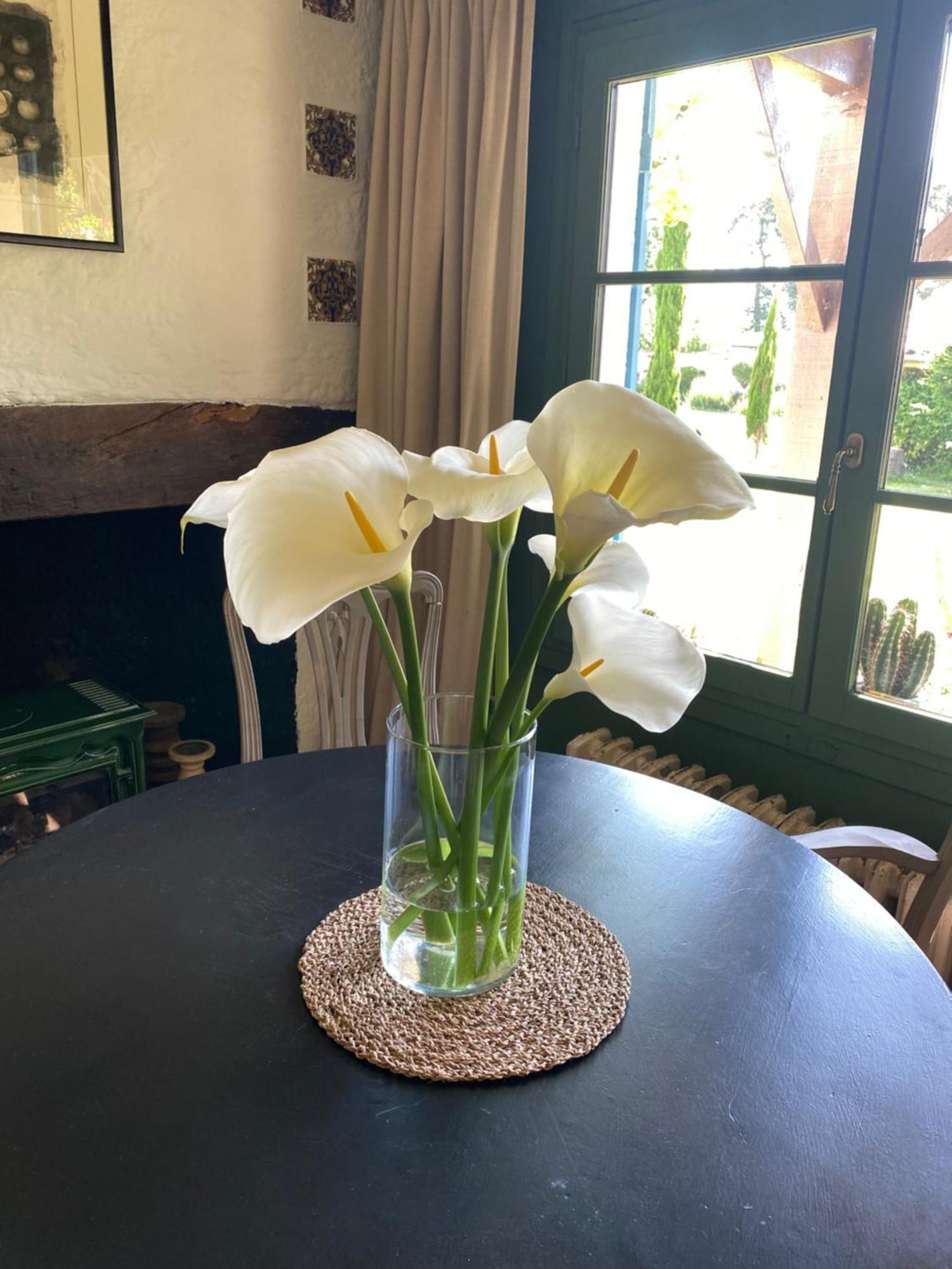 Domaine Du Tafiart Bed & Breakfast Sarron Luaran gambar